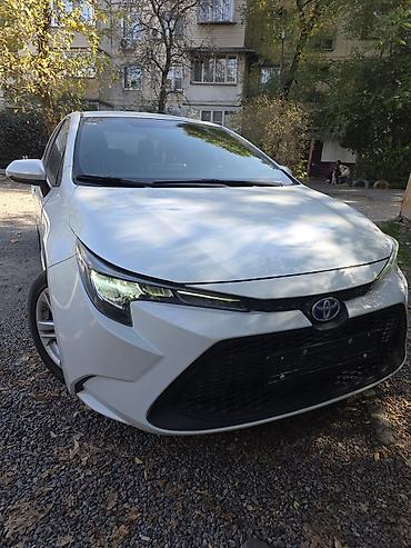 prius plus: Toyota Corolla: 2020 г., 1.8 л, Автомат, Гибрид, Седан — 2