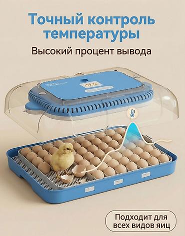 инкубационный: Инкубатор на 70 яиц #Инкубатор #Инкубатор #ИнкубаторДляЯиц — 4