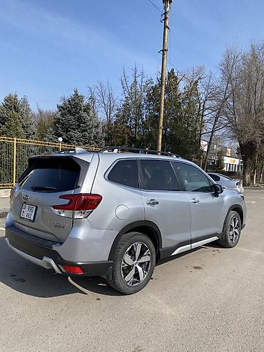 Subaru: Subaru Forester: 2019 г., Кроссовер — 25