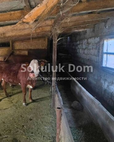 Продажа домов: Дом, 40 м², 4 комнаты — 11