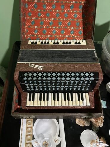 Akkordeonlar: Akustik Akkordeon — 9