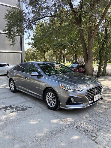 sonata dn: Hyundai Sonata: 2019 г., 2.4 л, Автомат, Бензин, Седан — 4