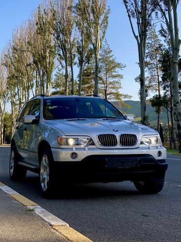 bmw x5 m: BMW X5: 2004 г., 3 л, Автомат, Дизель, Внедорожник