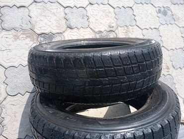 колесо для газ 53: Шины 195 / 65 / R 15, Зима, Пара, Легковые