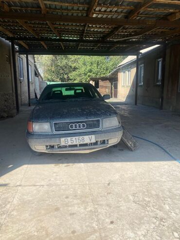 машина ауди: Audi 100: 1992 г., 2.3 л, Механика, Газ, Седан