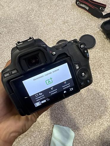 Зеркальная камера Canon EOS 250D с поворотным сенсорным экраном -