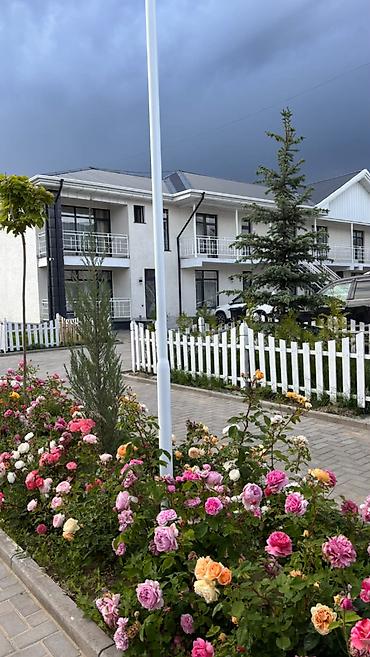 кв азия мол: 3 комнаты, 53 м², Элитка, 1 этаж, Свежий ремонт — 1