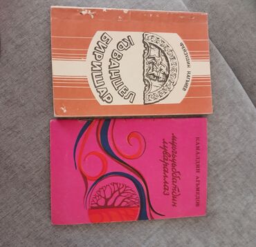 Bədii ədəbiyyat: Rus dilində klassik ədəbiyyat və poeziya üzrə böyük kitab toplusu — 16