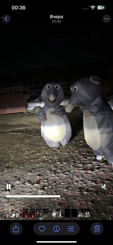 аренда надувных костюмов: Сдаю на прокат 😜Надувные костюмы серых крыс — комплект из 2 штук — 1
