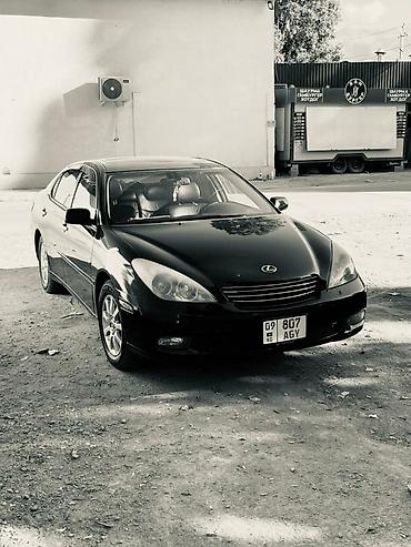 Lexus: Lexus ES: 2004 г., 3.3 л, Автомат, Бензин, Седан — 6