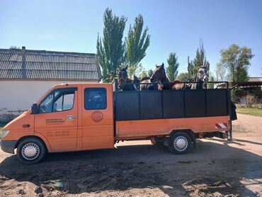 дамас машина цена бишкек: Mercedes-Benz Спринтер: 2002 г., 2.2 л, Типтроник, Дизель, Бус
