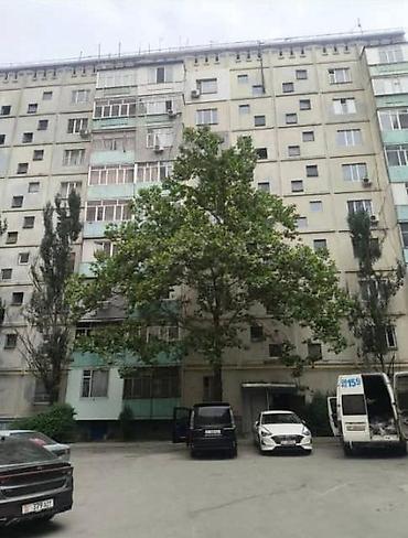 Продажа квартир: 1 комната, 34 м², 105 серия, 4 этаж, Старый ремонт at lalafo.kg — 1 Продажа квартир: 1 комната, 34 м², 105 серия, 4 этаж, Старый ремонт — 1