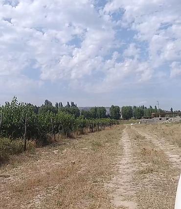 Продажа участков: 6 соток — 10