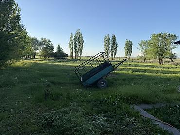 Продажа коттеджей и домов: Продаётся жилой дом. - Большой зелёный участок с деревьями и — 6