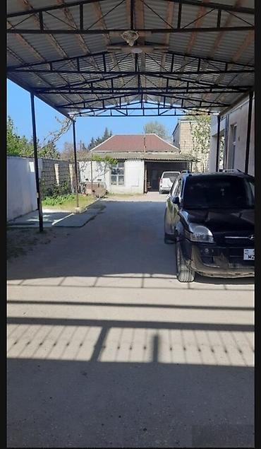 zirə fk: 9 otaq, 390 kv. m, Kredit yoxdur, Yeni təmirli — 2