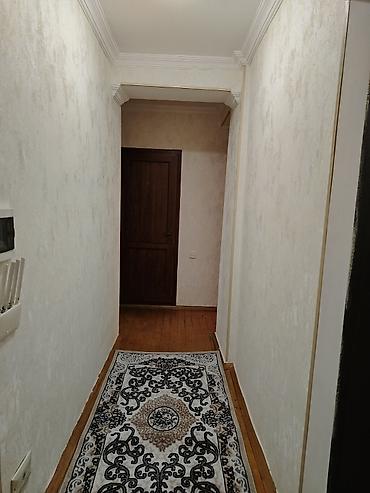 пальма цена: Salam mənzil xırdalanda Riyad ticarət mərkəzi ilə üzbə üz Abşeron — 1