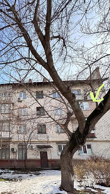 Продажа квартир: 2 комнаты, 43 м², Индивидуалка, 3 этаж, Косметический ремонт — 11