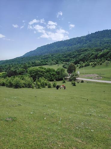 yevlax mebel: Təbii istirahət məkanı – meşə və dağ mənzərəsi ilə — 2