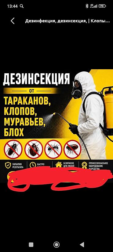 Клининг кызматтары: Дезинфекциялоо, дезинсекциялоо, | Кумурскалар, | Батирлер — 2