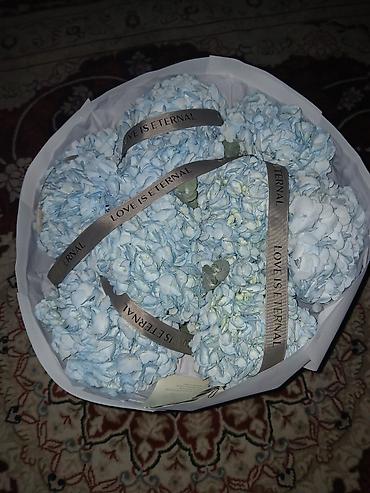 гартензия цветы: Большой букет нежно-голубых гортензий - Состав: пышные соцветия — 1