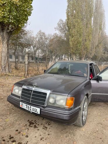 Mercedes-Benz: Mercedes-Benz W124: 1992 г., 2.3 л, Механика, Бензин, Седан