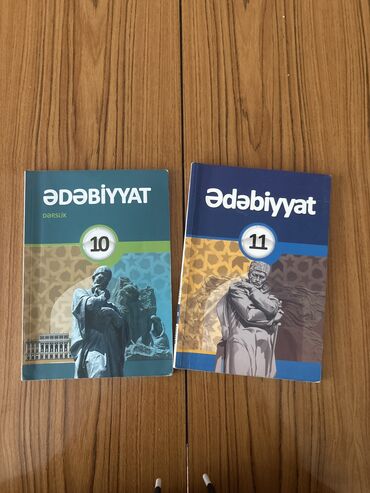 Edebiyat 10-11 sinif