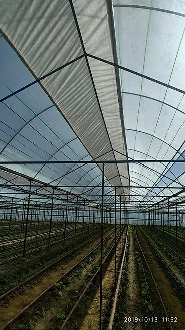 Сварка: Сварка Высотные работы — 43