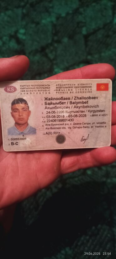 отдам алабая в хорошие руки: Права таап алдым байланышка чыгып алып кеткиле