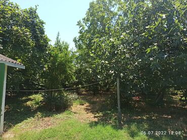 Bağ evlərinin satışı: Nabranda çox qözel menzerede hem denize yaxın hemde meşenin kenarında — 3