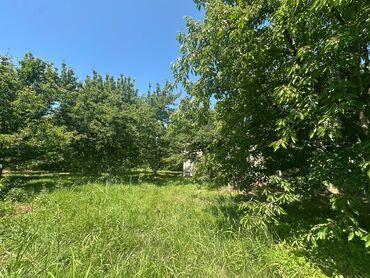 Bağ evlərinin satışı: Xaçmaz, 126 kv. m, 4 otaqlı, Hovuzsuz -da lalafo.az — 16 Bağ evlərinin satışı: Xaçmaz, 126 kv. m, 4 otaqlı, Hovuzsuz — 16