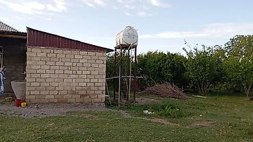 Həyət evləri və villaların satışı: - Məkan: həyətyanı sahəsi olan fərdi yaşayış evi - Ümumi planlama: bir — 4