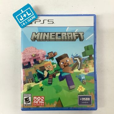 PS5 (Sony PlayStation 5): Ps5 minecraft