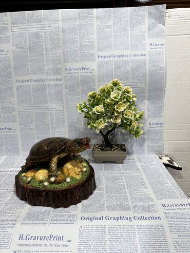 Fiqurlar: Fiqur — 29