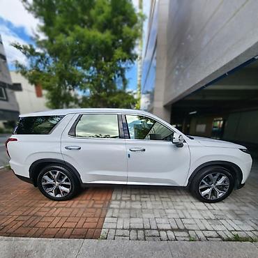авто салон чехол: Hyundai Palisade: 2020 г., Дизель, Кроссовер — 2
