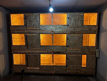 Инкубаторы: Многоярусный брудерный стеллаж для выращивания птицы Цена зависит от — 1