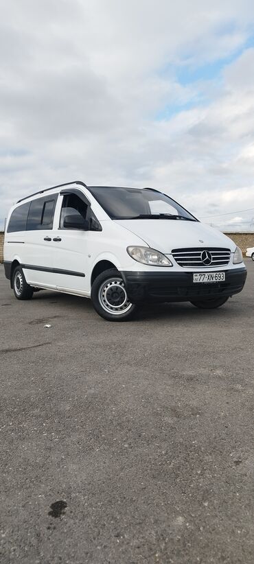 qəbələ bakı avtobus: Minivan, Bakı - Qəbələ