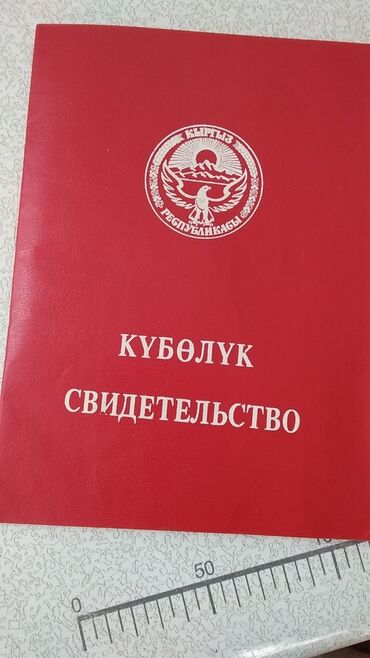 калыс ордо жер: 320 соток, Айыл чарба үчүн, Техпаспорт