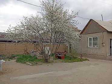 Куплю дом: 123 м², 4 комнаты, Забор, огорожен — 21