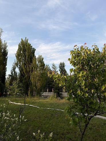 Посуточная аренда домов: Банкет — Банкетный зал Снять дом — Дом для мероприятий Терраса — — 8