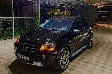 Mercedes-Benz: Mercedes-Benz ML 320: 2008 г., 3 л, Автомат, Дизель, Внедорожник