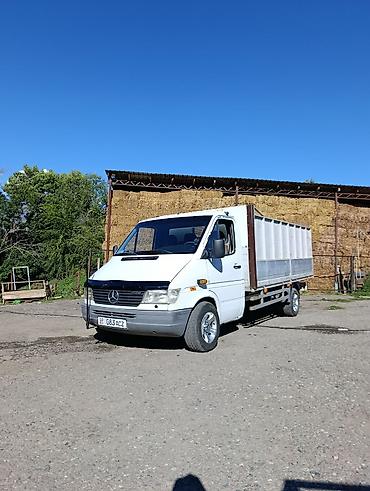 талас спринтер: Mercedes-Benz Спринтер: 1999 г., 2.9 л, Дизель, Пикап — 2