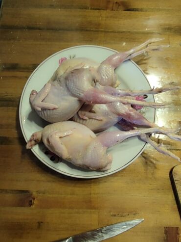 мясо страуса бишкек цена: Перепелиные тушки молодых петушков. 650с/кг
Село Кок жар (Таштар-ата)