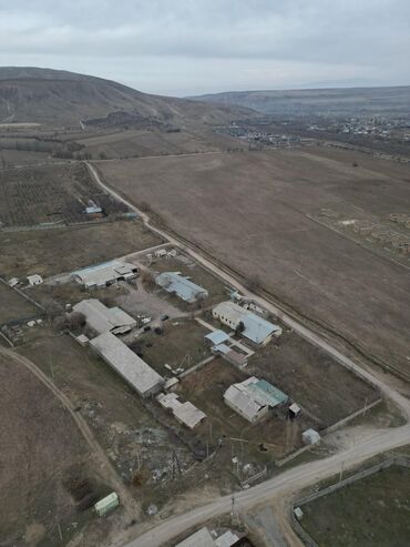 Продажа участков: 290 соток, Красная книга, Тех паспорт, Договор купли-продажи — 8