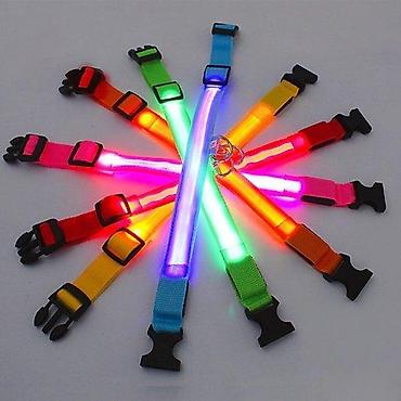 kapi za pilice: SVETLECA LED OGRLICA ZA PSE I LJUBIMCE USB PUNJENJE | Svetlece LED — 3