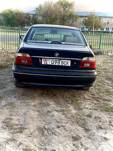 ноздри бмв е34: BMW 5 series: 2003 г., 2.5 л, Автомат, Бензин, Седан — 3
