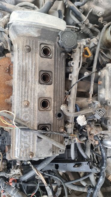 Другие автозапчасти: Запчасти под заказ raum Ipsum caldina rav4 Привозной моторлор бар — 10