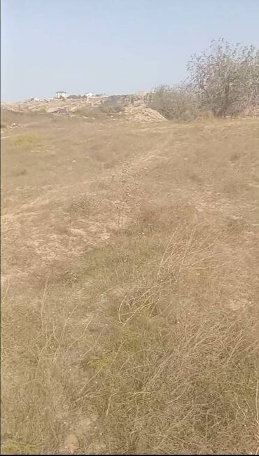 Torpaq sahələrinin satışı: 12 sot, Tikinti, Mülkiyyətçi, Kupça (Çıxarış) -da lalafo.az — 2 Torpaq sahələrinin satışı: 12 sot, Tikinti, Mülkiyyətçi, Kupça (Çıxarış) — 2