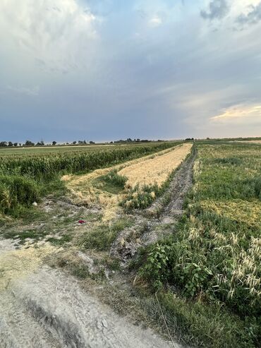 поля жер: 100 соток, Айыл чарба үчүн