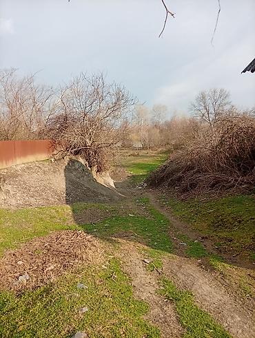 Torpaq sahələrinin satışı: 38 sot, Kənd təsərrüfatı, Mülkiyyətçi, Kupça (Çıxarış) — 10