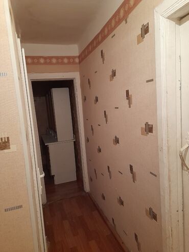 Otaqların uzunmüddətli kirayəsi: 1 otaqlı mənzil/interyer - Geniş, işıqlı otaq: klassik naxışlı divar — 5